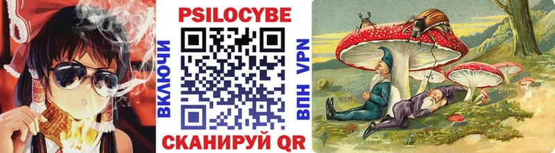 цена   Чернушка  mega   Псилоцибиновые грибы Cubensis 