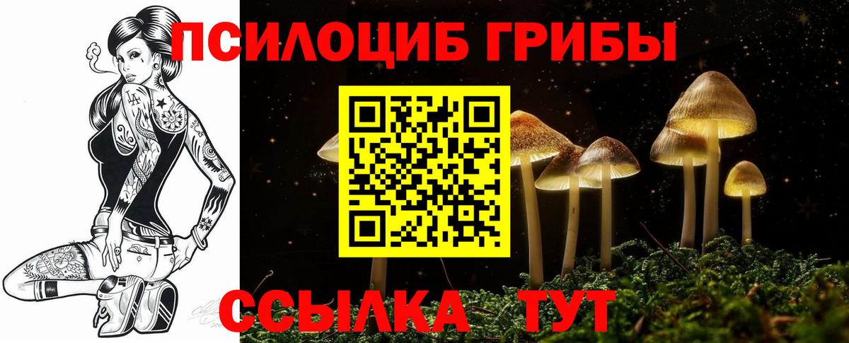 БУТИРАТ Чернушка