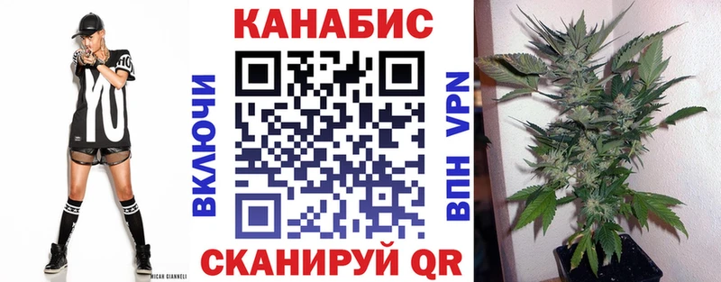Конопля план  как найти   Чернушка 